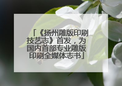 《扬州雕版印刷技艺志》首发，为国内首部专业雕版印刷全媒体志书