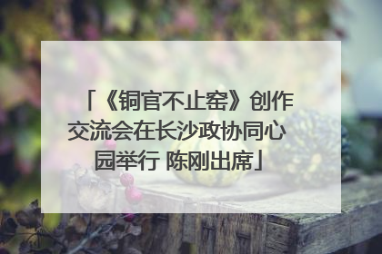 《铜官不止窑》创作交流会在长沙政协同心园举行 陈刚出席