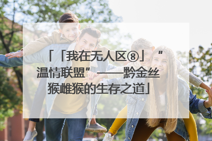 「我在无人区⑧」“温情联盟”——黔金丝猴雌猴的生存之道