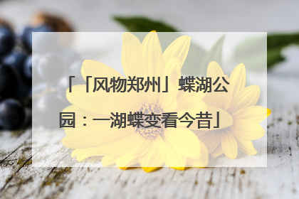「风物郑州」蝶湖公园：一湖蝶变看今昔