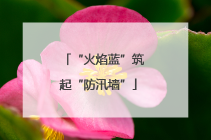 “火焰蓝”筑起“防汛墙”