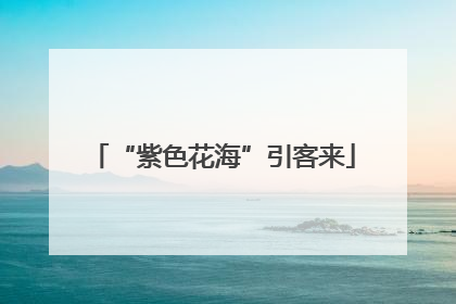 “紫色花海”引客来