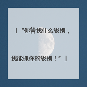 “你管我什么级别，我能抓你的级别！”