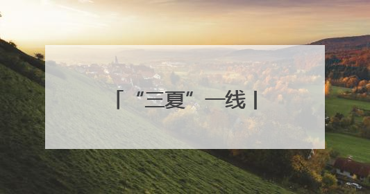 “三夏”一线丨肥城：探索“菌果蔬”轮作模式 助力农民增收致富