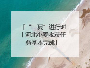“三夏”进行时丨河北小麦收获任务基本完成