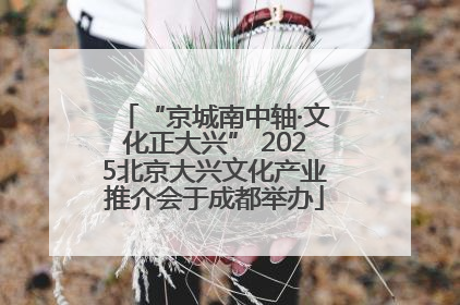 “京城南中轴·文化正大兴” 2025北京大兴文化产业推介会于成都举办