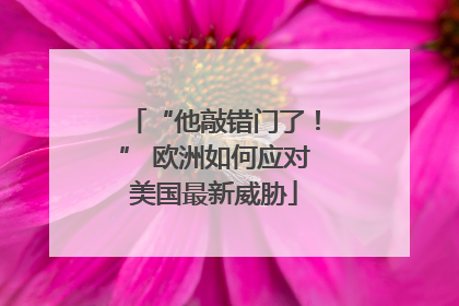 “他敲错门了！” 欧洲如何应对美国最新威胁