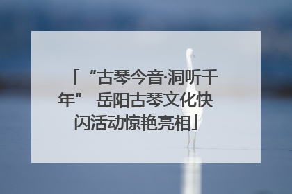 “古琴今音·洞听千年” 岳阳古琴文化快闪活动惊艳亮相