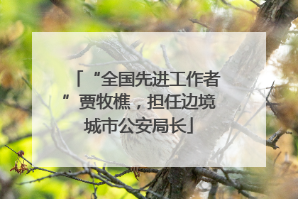 “全国先进工作者”贾牧樵，担任边境城市公安局长
