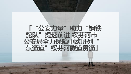 “公安力量”助力“钢铁驼队”提速前进 绥芬河市公安局全力保障中欧班列“东通道”绥芬河隧道贯通