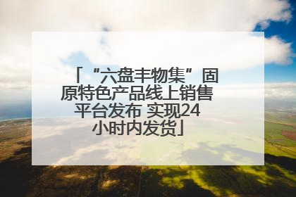 “六盘丰物集”固原特色产品线上销售平台发布 实现24小时内发货