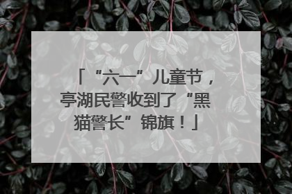 “六一”儿童节，亭湖民警收到了“黑猫警长”锦旗！