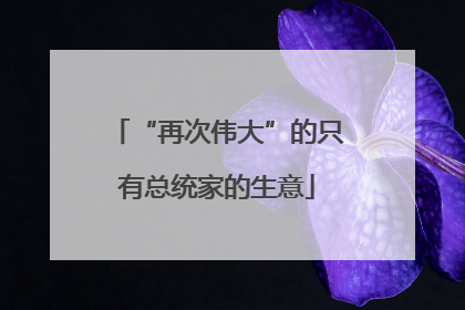 “再次伟大”的只有总统家的生意