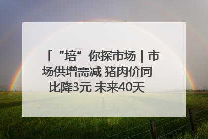 “培”你探市场｜市场供增需减 猪肉价同比降3元 未来40天便宜猪肉敞开吃