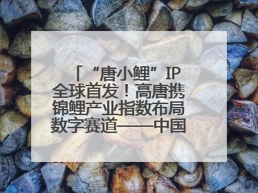 “唐小鲤”IP全球首发！高唐携锦鲤产业指数布局数字赛道——中国高唐锦鲤产业指数暨“唐小鲤”IP全球首发仪式在杭州举行