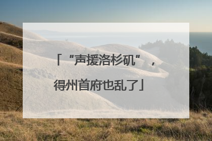 “声援洛杉矶”，得州首府也乱了