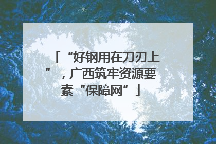 “好钢用在刀刃上”，广西筑牢资源要素“保障网”
