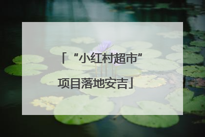 “小红村超市”项目落地安吉