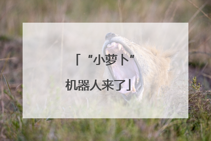 “小萝卜”机器人来了