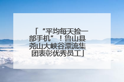 “平均每天捡一部手机”！鲁山县尧山大峡谷漂流集团表彰优秀员工