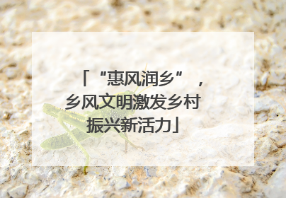 “惠风润乡”，乡风文明激发乡村振兴新活力