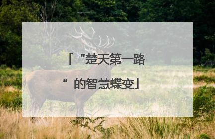 “楚天第一路”的智慧蝶变