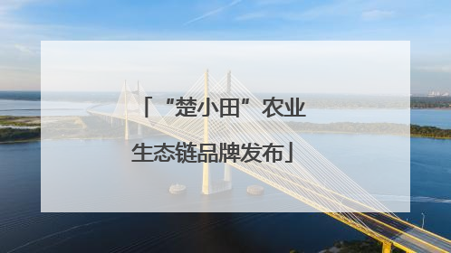 “楚小田”农业生态链品牌发布