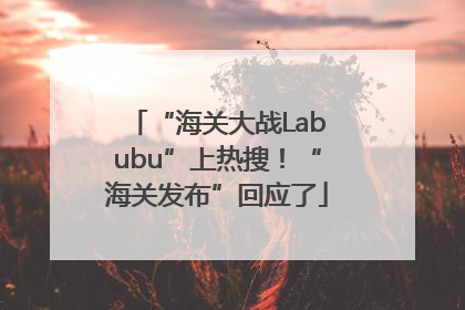 “海关大战Labubu”上热搜！“海关发布”回应了
