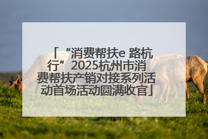 “消费帮扶e 路杭行”2025杭州市消费帮扶产销对接系列活动首场活动圆满收官