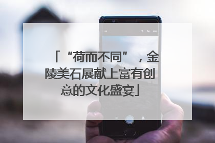“荷而不同”，金陵美石展献上富有创意的文化盛宴
