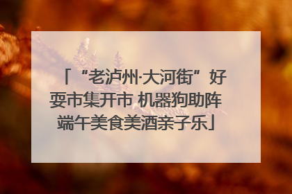 “老泸州·大河街”好耍市集开市 机器狗助阵端午美食美酒亲子乐