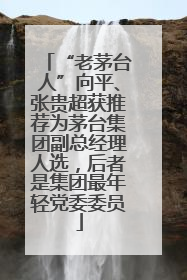“老茅台人”向平、张贵超获推荐为茅台集团副总经理人选，后者是集团最年轻党委委员