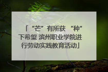 “芒”有所获 “种”下希望 滨州职业学院进行劳动实践教育活动