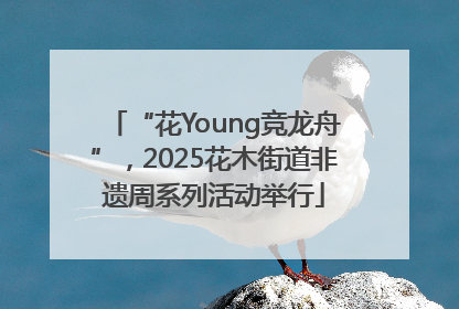 “花Young竞龙舟”，2025花木街道非遗周系列活动举行