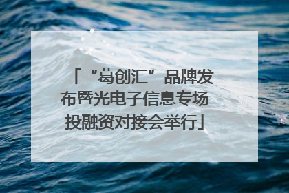 “葛创汇”品牌发布暨光电子信息专场投融资对接会举行