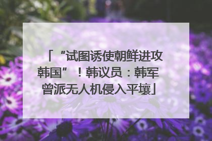 “试图诱使朝鲜进攻韩国”！韩议员：韩军曾派无人机侵入平壤