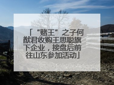“赌王”之子何猷君收购王思聪旗下企业，接盘后前往山东参加活动