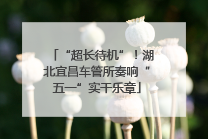 “超长待机”！湖北宜昌车管所奏响“五一”实干乐章