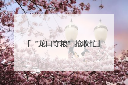 “龙口夺粮”抢收忙