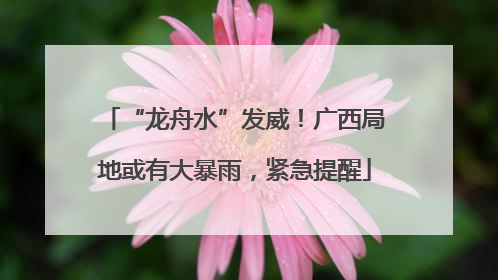 “龙舟水”发威！广西局地或有大暴雨，紧急提醒