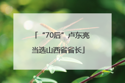 “70后”卢东亮当选山西省省长
