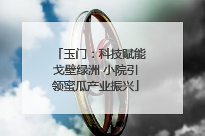 玉门：科技赋能戈壁绿洲 小院引领蜜瓜产业振兴