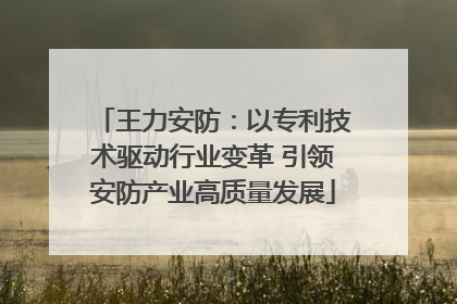 王力安防：以专利技术驱动行业变革 引领安防产业高质量发展