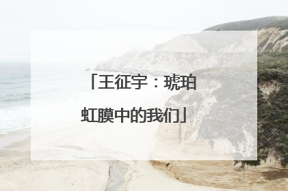 王征宇：琥珀虹膜中的我们