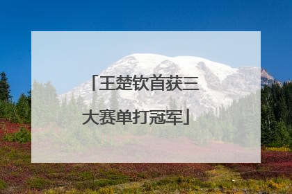 王楚钦首获三大赛单打冠军