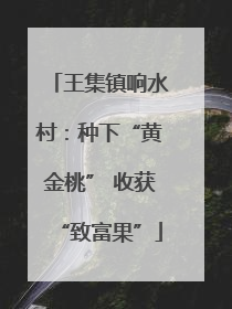 王集镇响水村：种下“黄金桃” 收获“致富果”