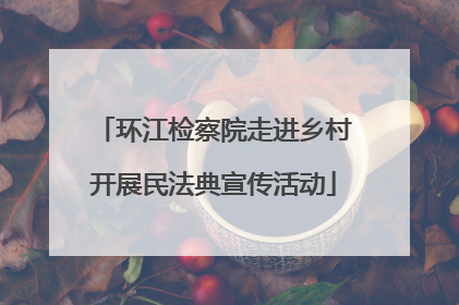环江检察院走进乡村开展民法典宣传活动