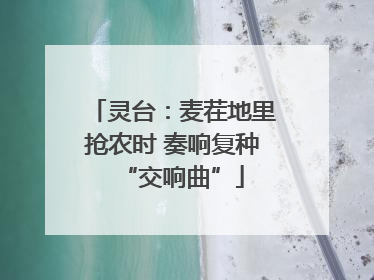 灵台：麦茬地里抢农时 奏响复种“交响曲”