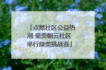点燃社区公益热潮 呈贡朝云社区举行绿美挑战赛