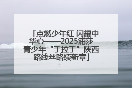 点燃少年红 闪耀中华心——2025浦莎青少年“手拉手”陕西路线丝路续新章